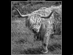 IMG016 (1) (1) (1) (1) (1) (1) (1) (1) (1) (1) (1) (1) (1) (1) (1) (1) (1) (1) (1) (1) (1) (1) (1) (1) (1) (1) (1) (1) (1) (1) (1) (1) (1) (1) (1) (1) (1) (1) (1) (1) (1) (1) (1) (1) (1) (1) (1)