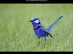 IMG016 (1) (1) (1) (1) (1) (1) (1) (1) (1) (1) (1) (1) (1) (1) (1) (1) (1) (1) (1) (1) (1) (1) (1) (1) (1) (1) (1) (1) (1) (1) (1) (1) (1) (1) (1) (1) (1) (1) (1) (1) (1) (1) (1) (1) (1) (1) (1) (1) (1) (1) (1)