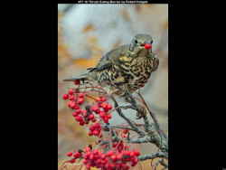 IMG016 (1) (1) (1) (1) (1) (1) (1) (1) (1) (1) (1) (1) (1) (1) (1) (1) (1) (1) (1) (1) (1) (1) (1) (1) (1) (1) (1) (1) (1) (1) (1) (1) (1) (1) (1) (1) (1) (1) (1) (1) (1) (1) (1) (1) (1) (1) (1) (1) (1) (1) (1) (1) (1)