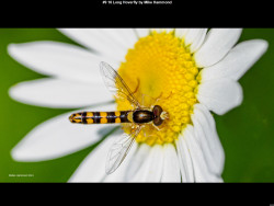 IMG016 (1) (1) (1) (1) (1) (1) (1) (1) (1) (1) (1) (1) (1) (1) (1) (1) (1) (1) (1) (1) (1) (1) (1) (1) (1) (1) (1) (1) (1) (1) (1) (1) (1) (1) (1) (1) (1) (1) (1) (1) (1) (1) (1) (1) (1) (1) (1) (1) (1) (1) (1) (1) (1) (1) (1) (1) (1)