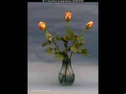 IMG017 (1) (1) (1) (1) (1) (1) (1) (1) (1) (1) (1) (1) (1)