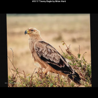 IMG017 (1) (1) (1) (1) (1) (1) (1) (1) (1) (1) (1) (1) (1) (1) (1) (1) (1) (1)