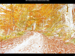 IMG017 (1) (1) (1) (1) (1) (1) (1) (1) (1) (1) (1) (1) (1) (1) (1) (1) (1) (1) (1)