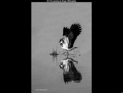 IMG017 (1) (1) (1) (1) (1) (1) (1) (1) (1) (1) (1) (1) (1) (1) (1) (1) (1) (1) (1) (1)