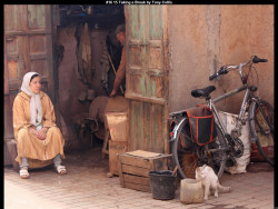 IMG017 (1) (1) (1) (1) (1) (1) (1) (1) (1) (1) (1) (1) (1) (1) (1) (1) (1) (1) (1) (1) (1) (1) (1)