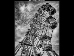 IMG017 (1) (1) (1) (1) (1) (1) (1) (1) (1) (1) (1) (1) (1) (1) (1) (1) (1) (1) (1) (1) (1) (1) (1) (1) (1) (1)