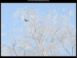 IMG017 (1) (1) (1) (1) (1) (1) (1) (1) (1) (1) (1) (1) (1) (1) (1) (1) (1) (1) (1) (1) (1) (1) (1) (1) (1) (1) (1) (1) (1) (1) (1)