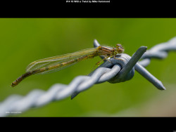 IMG017 (1) (1) (1) (1) (1) (1) (1) (1) (1) (1) (1) (1) (1) (1) (1) (1) (1) (1) (1) (1) (1) (1) (1) (1) (1) (1) (1) (1) (1) (1) (1) (1) (1) (1) (1) (1) (1) (1) (1) (1) (1)