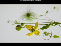 IMG017 (1) (1) (1) (1) (1) (1) (1) (1) (1) (1) (1) (1) (1) (1) (1) (1) (1) (1) (1) (1) (1) (1) (1) (1) (1) (1) (1) (1) (1) (1) (1) (1) (1) (1) (1) (1) (1) (1) (1) (1) (1) (1)