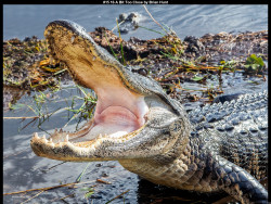 IMG017 (1) (1) (1) (1) (1) (1) (1) (1) (1) (1) (1) (1) (1) (1) (1) (1) (1) (1) (1) (1) (1) (1) (1) (1) (1) (1) (1) (1) (1) (1) (1) (1) (1) (1) (1) (1) (1) (1) (1) (1) (1) (1) (1)