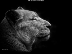 IMG017 (1) (1) (1) (1) (1) (1) (1) (1) (1) (1) (1) (1) (1) (1) (1) (1) (1) (1) (1) (1) (1) (1) (1) (1) (1) (1) (1) (1) (1) (1) (1) (1) (1) (1) (1) (1) (1) (1) (1) (1) (1) (1) (1) (1) (1) (1) (1) (1)