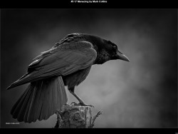 IMG017 (1) (1) (1) (1) (1) (1) (1) (1) (1) (1) (1) (1) (1) (1) (1) (1) (1) (1) (1) (1) (1) (1) (1) (1) (1) (1) (1) (1) (1) (1) (1) (1) (1) (1) (1) (1) (1) (1) (1) (1) (1) (1) (1) (1) (1) (1) (1) (1) (1)