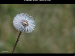 IMG017 (1) (1) (1) (1) (1) (1) (1) (1) (1) (1) (1) (1) (1) (1) (1) (1) (1) (1) (1) (1) (1) (1) (1) (1) (1) (1) (1) (1) (1) (1) (1) (1) (1) (1) (1) (1) (1) (1) (1) (1) (1) (1) (1) (1) (1) (1) (1) (1) (1) (1) (1)