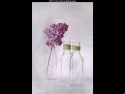 IMG017 (1) (1) (1) (1) (1) (1) (1) (1) (1) (1) (1) (1) (1) (1) (1) (1) (1) (1) (1) (1) (1) (1) (1) (1) (1) (1) (1) (1) (1) (1) (1) (1) (1) (1) (1) (1) (1) (1) (1) (1) (1) (1) (1) (1) (1) (1) (1) (1) (1) (1) (1) (1) (1) (1)