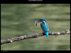 IMG018 (1) (1) (1) (1) (1) (1)