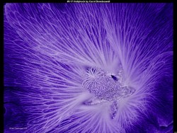 IMG018 (1) (1) (1) (1) (1) (1) (1) (1) (1) (1) (1) (1) (1)