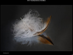 IMG018 (1) (1) (1) (1) (1) (1) (1) (1) (1) (1) (1) (1) (1) (1) (1) (1) (1) (1) (1) (1) (1) (1) (1) (1) (1)