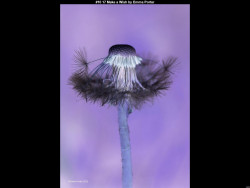 IMG018 (1) (1) (1) (1) (1) (1) (1) (1) (1) (1) (1) (1) (1) (1) (1) (1) (1) (1) (1) (1) (1) (1) (1) (1) (1) (1) (1) (1) (1) (1) (1) (1) (1) (1) (1)