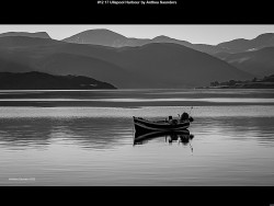 IMG018 (1) (1) (1) (1) (1) (1) (1) (1) (1) (1) (1) (1) (1) (1) (1) (1) (1) (1) (1) (1) (1) (1) (1) (1) (1) (1) (1) (1) (1) (1) (1) (1) (1) (1) (1) (1) (1)