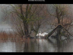 IMG018 (1) (1) (1) (1) (1) (1) (1) (1) (1) (1) (1) (1) (1) (1) (1) (1) (1) (1) (1) (1) (1) (1) (1) (1) (1) (1) (1) (1) (1) (1) (1) (1) (1) (1) (1) (1) (1) (1) (1) (1)