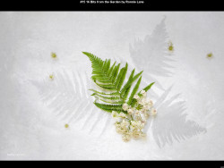 IMG018 (1) (1) (1) (1) (1) (1) (1) (1) (1) (1) (1) (1) (1) (1) (1) (1) (1) (1) (1) (1) (1) (1) (1) (1) (1) (1) (1) (1) (1) (1) (1) (1) (1) (1) (1) (1) (1) (1) (1) (1) (1) (1)