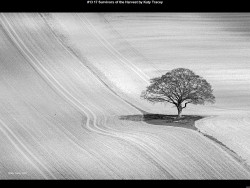 IMG018 (1) (1) (1) (1) (1) (1) (1) (1) (1) (1) (1) (1) (1) (1) (1) (1) (1) (1) (1) (1) (1) (1) (1) (1) (1) (1) (1) (1) (1) (1) (1) (1) (1) (1) (1) (1) (1) (1) (1) (1) (1) (1) (1)