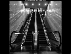 IMG018 (1) (1) (1) (1) (1) (1) (1) (1) (1) (1) (1) (1) (1) (1) (1) (1) (1) (1) (1) (1) (1) (1) (1) (1) (1) (1) (1) (1) (1) (1) (1) (1) (1) (1) (1) (1) (1) (1) (1) (1) (1) (1) (1) (1) (1) (1) (1) (1)