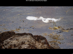 IMG018 (1) (1) (1) (1) (1) (1) (1) (1) (1) (1) (1) (1) (1) (1) (1) (1) (1) (1) (1) (1) (1) (1) (1) (1) (1) (1) (1) (1) (1) (1) (1) (1) (1) (1) (1) (1) (1) (1) (1) (1) (1) (1) (1) (1) (1) (1) (1) (1) (1) (1)