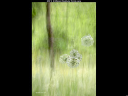 IMG018 (1) (1) (1) (1) (1) (1) (1) (1) (1) (1) (1) (1) (1) (1) (1) (1) (1) (1) (1) (1) (1) (1) (1) (1) (1) (1) (1) (1) (1) (1) (1) (1) (1) (1) (1) (1) (1) (1) (1) (1) (1) (1) (1) (1) (1) (1) (1) (1) (1) (1) (1)