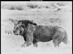 IMG018 (1) (1) (1) (1) (1) (1) (1) (1) (1) (1) (1) (1) (1) (1) (1) (1) (1) (1) (1) (1) (1) (1) (1) (1) (1) (1) (1) (1) (1) (1) (1) (1) (1) (1) (1) (1) (1) (1) (1) (1) (1) (1) (1) (1) (1) (1) (1) (1) (1) (1) (1) (1) (1)