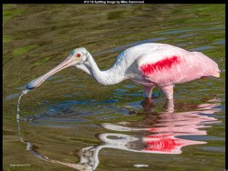 IMG019 (1) (1) (1) (1) (1) (1)