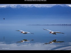 IMG019 (1) (1) (1) (1) (1) (1) (1) (1) (1) (1)