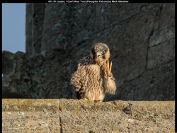 IMG019 (1) (1) (1) (1) (1) (1) (1) (1) (1) (1) (1) (1) (1) (1) (1) (1) (1) (1) (1) (1)