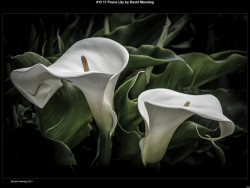 IMG019 (1) (1) (1) (1) (1) (1) (1) (1) (1) (1) (1) (1) (1) (1) (1) (1) (1) (1) (1) (1) (1) (1) (1) (1) (1)