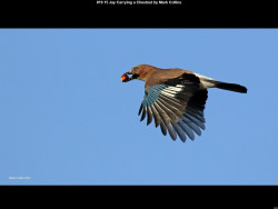 IMG019 (1) (1) (1) (1) (1) (1) (1) (1) (1) (1) (1) (1) (1) (1) (1) (1) (1) (1) (1) (1) (1) (1) (1) (1) (1) (1) (1) (1) (1)