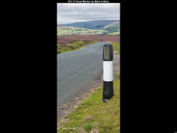 IMG019 (1) (1) (1) (1) (1) (1) (1) (1) (1) (1) (1) (1) (1) (1) (1) (1) (1) (1) (1) (1) (1) (1) (1) (1) (1) (1) (1) (1) (1) (1) (1) (1)