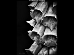 IMG019 (1) (1) (1) (1) (1) (1) (1) (1) (1) (1) (1) (1) (1) (1) (1) (1) (1) (1) (1) (1) (1) (1) (1) (1) (1) (1) (1) (1) (1) (1) (1) (1) (1) (1) (1) (1) (1)