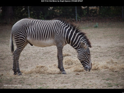 IMG019 (1) (1) (1) (1) (1) (1) (1) (1) (1) (1) (1) (1) (1) (1) (1) (1) (1) (1) (1) (1) (1) (1) (1) (1) (1) (1) (1) (1) (1) (1) (1) (1) (1) (1) (1) (1) (1) (1) (1) (1) (1) (1)