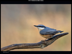 IMG019 (1) (1) (1) (1) (1) (1) (1) (1) (1) (1) (1) (1) (1) (1) (1) (1) (1) (1) (1) (1) (1) (1) (1) (1) (1) (1) (1) (1) (1) (1) (1) (1) (1) (1) (1) (1) (1) (1) (1) (1) (1) (1) (1)