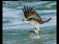 IMG019 (1) (1) (1) (1) (1) (1) (1) (1) (1) (1) (1) (1) (1) (1) (1) (1) (1) (1) (1) (1) (1) (1) (1) (1) (1) (1) (1) (1) (1) (1) (1) (1) (1) (1) (1) (1) (1) (1) (1) (1) (1) (1) (1) (1)