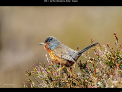 IMG019 (1) (1) (1) (1) (1) (1) (1) (1) (1) (1) (1) (1) (1) (1) (1) (1) (1) (1) (1) (1) (1) (1) (1) (1) (1) (1) (1) (1) (1) (1) (1) (1) (1) (1) (1) (1) (1) (1) (1) (1) (1) (1) (1) (1) (1) (1)