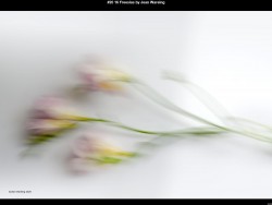 IMG020 (1) (1) (1) (1) (1) (1) (1) (1)