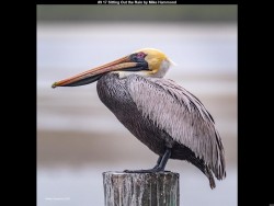 IMG020 (1) (1) (1) (1) (1) (1) (1) (1) (1) (1) (1) (1) (1)