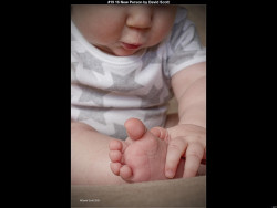 IMG020 (1) (1) (1) (1) (1) (1) (1) (1) (1) (1) (1) (1) (1) (1) (1) (1)