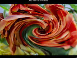 IMG020 (1) (1) (1) (1) (1) (1) (1) (1) (1) (1) (1) (1) (1) (1) (1) (1) (1) (1) (1)