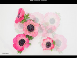 IMG020 (1) (1) (1) (1) (1) (1) (1) (1) (1) (1) (1) (1) (1) (1) (1) (1) (1) (1) (1) (1) (1) (1)