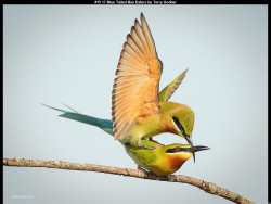 IMG020 (1) (1) (1) (1) (1) (1) (1) (1) (1) (1) (1) (1) (1) (1) (1) (1) (1) (1) (1) (1) (1) (1) (1) (1) (1)