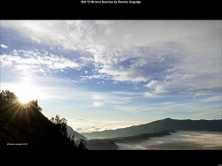 IMG020 (1) (1) (1) (1) (1) (1) (1) (1) (1) (1) (1) (1) (1) (1) (1) (1) (1) (1) (1) (1) (1) (1) (1) (1) (1) (1) (1) (1) (1)