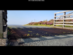 IMG020 (1) (1) (1) (1) (1) (1) (1) (1) (1) (1) (1) (1) (1) (1) (1) (1) (1) (1) (1) (1) (1) (1) (1) (1) (1) (1) (1) (1) (1) (1) (1)