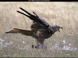 IMG020 (1) (1) (1) (1) (1) (1) (1) (1) (1) (1) (1) (1) (1) (1) (1) (1) (1) (1) (1) (1) (1) (1) (1) (1) (1) (1) (1) (1) (1) (1) (1) (1) (1) (1)